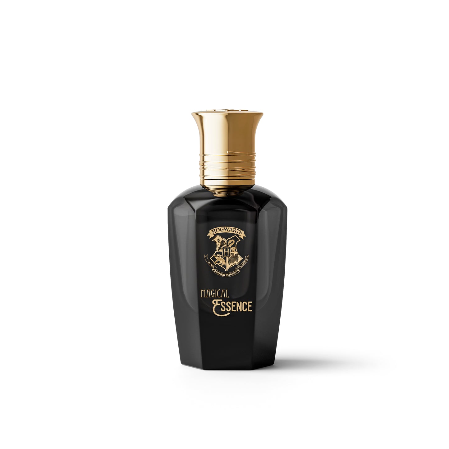 Harry Potter - Magical Essence - Ambition Man, Eau de Parfum (50 ml)