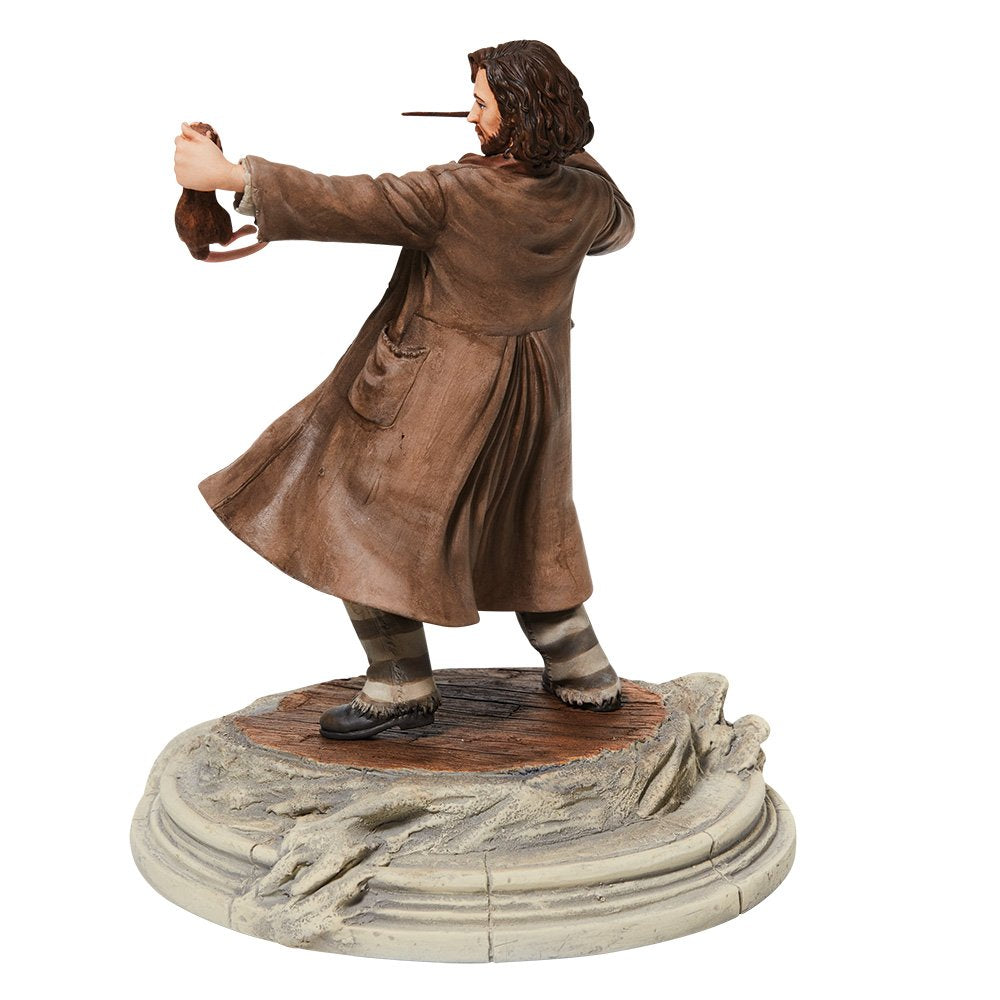 Harry Potter - Sirius Black mit Krätze