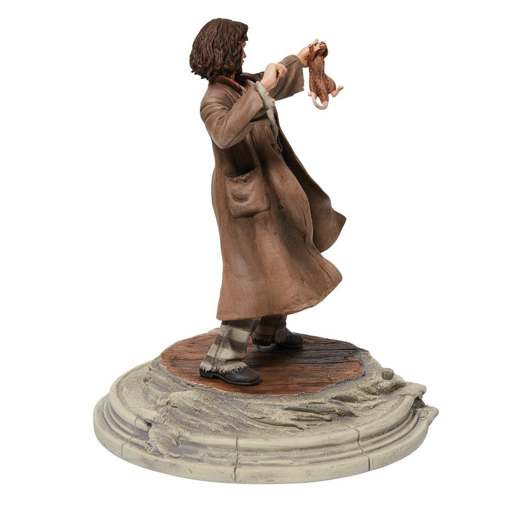 Harry Potter - Sirius Black mit Krätze