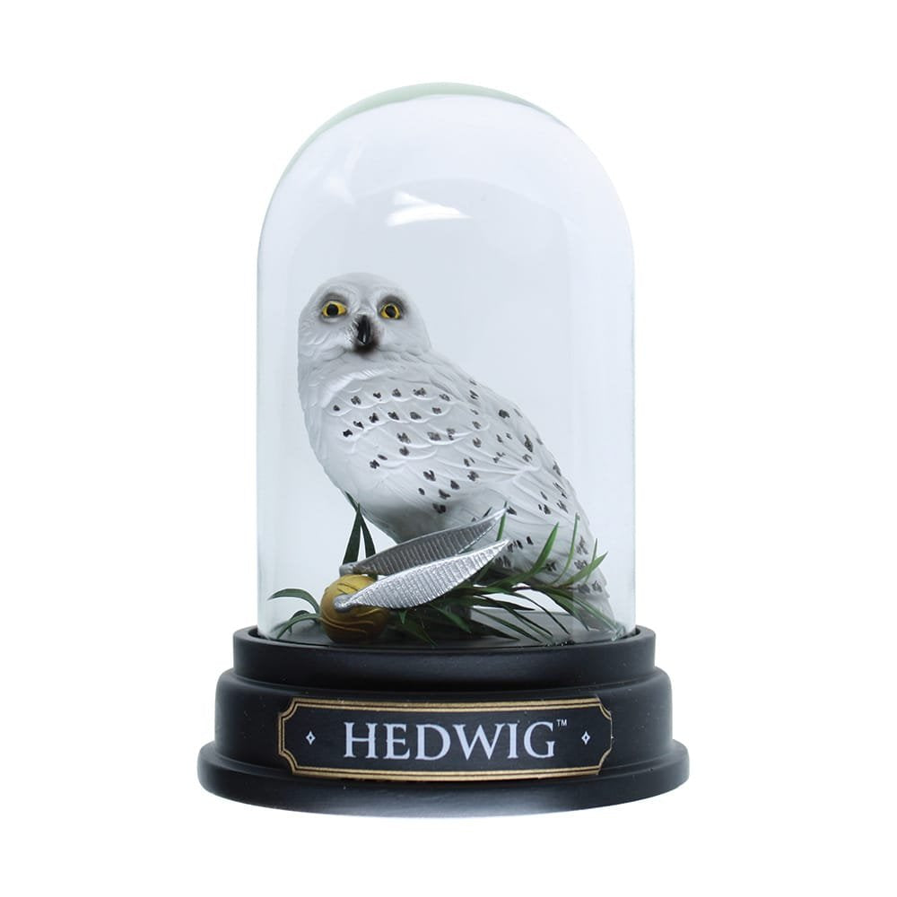 Harry Potter - Hedwig - Curiosity Cloche