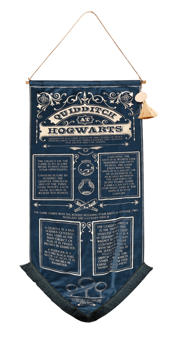 Harry Potter - Banner - Alumni Quidditch