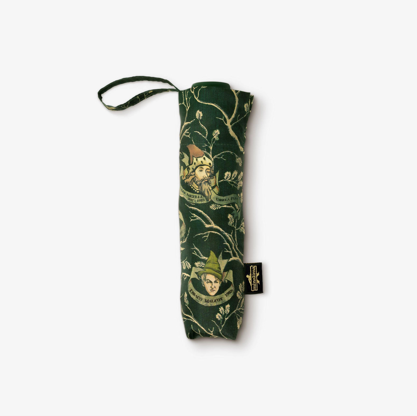 Harry Potter - Regenschirm - Familie Black Tapete