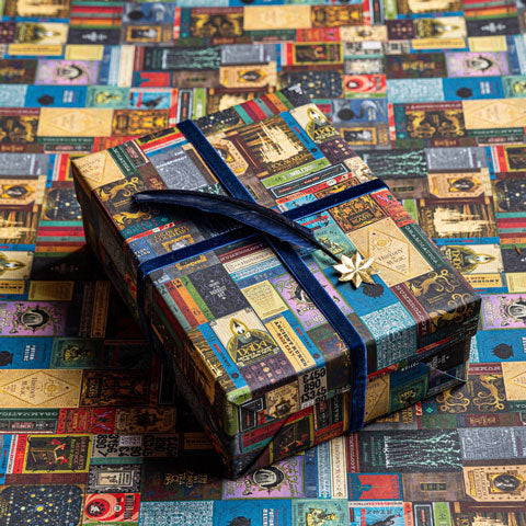 Harry Potter - Geschenkpapier - Buchcover
