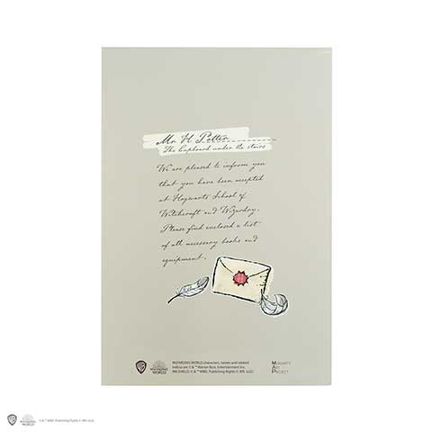 Harry Potter - Notizbuch - Hedwig