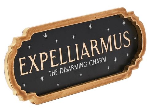 Harry Potter - Expelliarmus - Wandschmuck