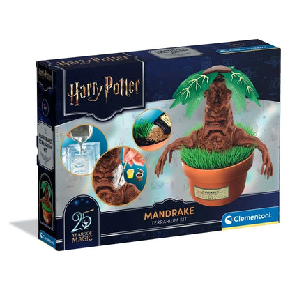 Harry Potter - Experimentierset - Alraune (Mandrake) Terrarium