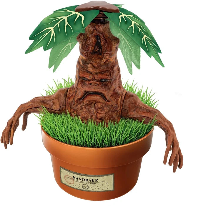 Harry Potter - Experimentierset - Alraune (Mandrake) Terrarium