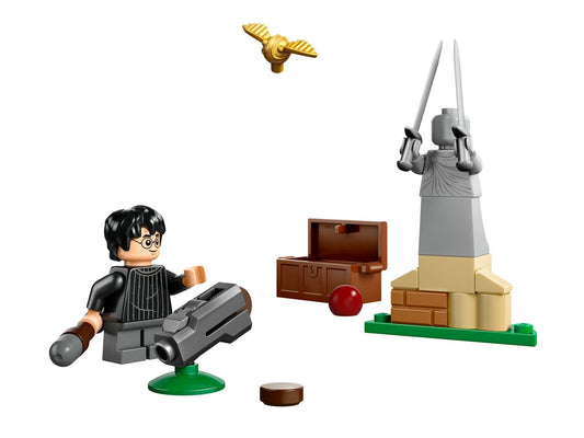 Harry Potter - LEGO® - Quidditch Training (30706)