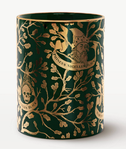 Harry Potter - Stifthalter - Familie Black Tapete