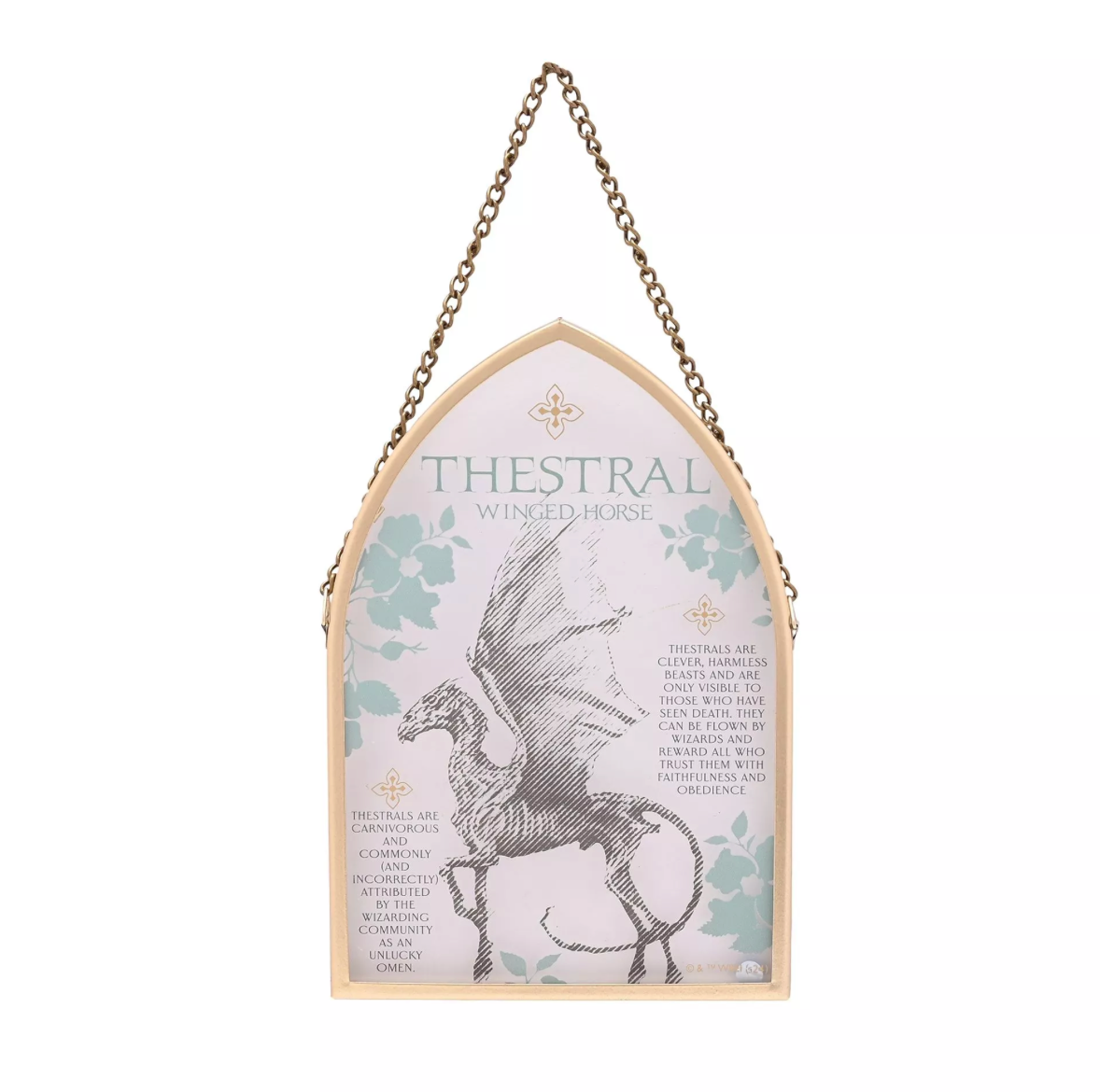 Harry Potter - Herbologie Glasplakette - Thestral