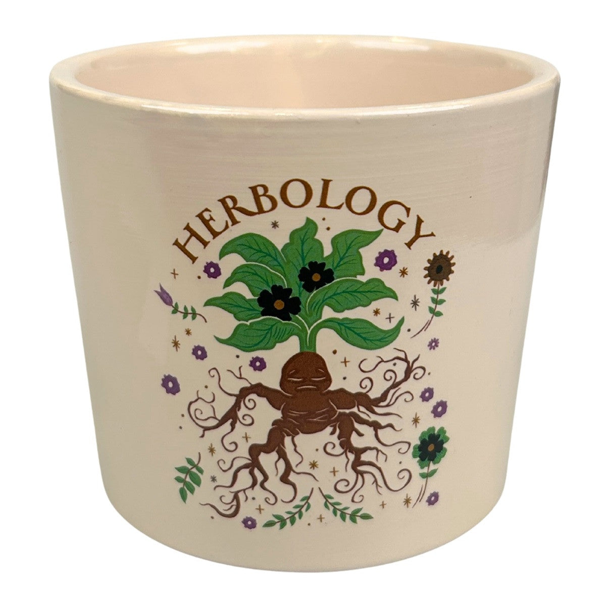 Harry Potter - Blumentopf  - Herbology (7cm)