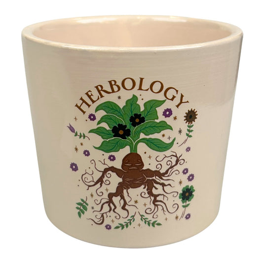 Harry Potter - Blumentopf  - Herbology (7cm)