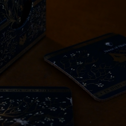 Harry Potter - 4er Set Untersetzer - Familie Black Tapete