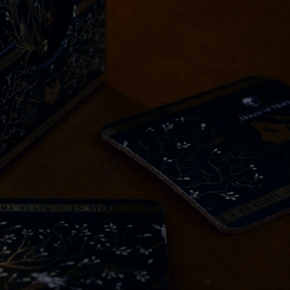 Harry Potter - 4er Set Untersetzer - Familie Black Tapete