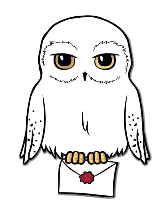 Harry Potter - Magnet - Hedwig mit Brief