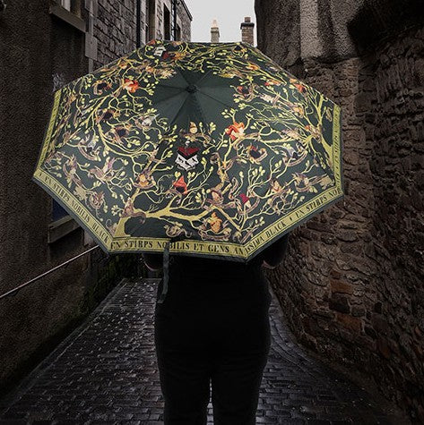 Harry Potter - Regenschirm - Familie Black Tapete