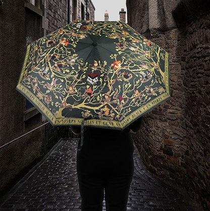 Harry Potter - Regenschirm - Familie Black Tapete