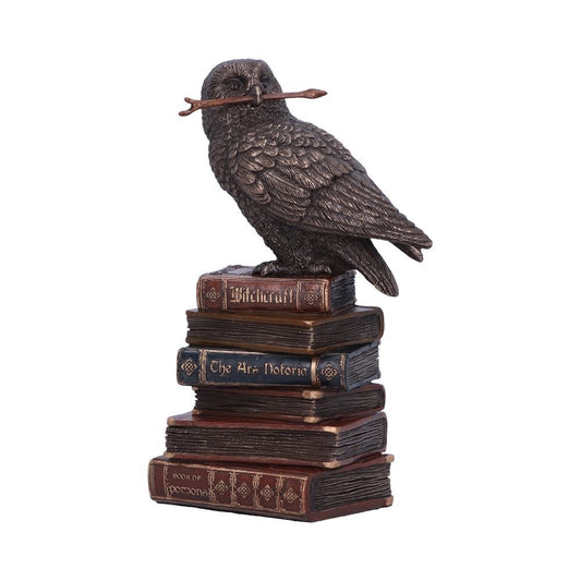 Eule auf Büchern - Statue
