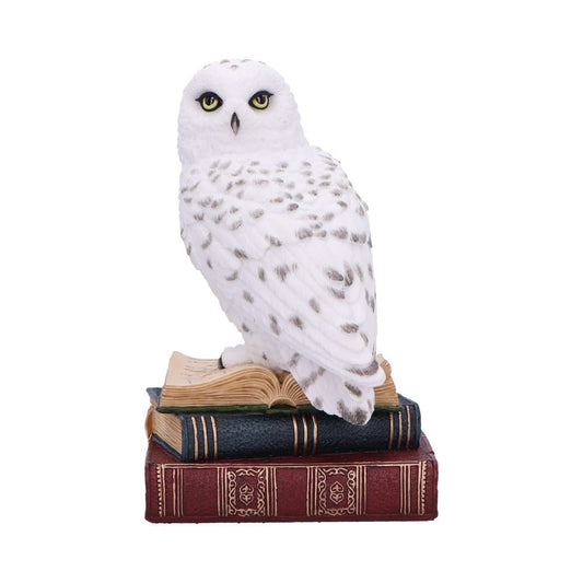 Library of Wisdom (17cm)