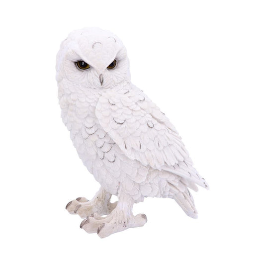 Snowy Watch (20cm)