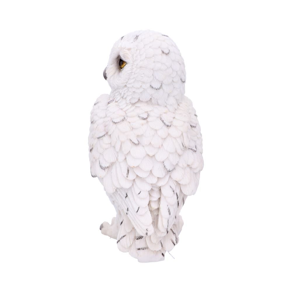 Harry Potter - Hedwig