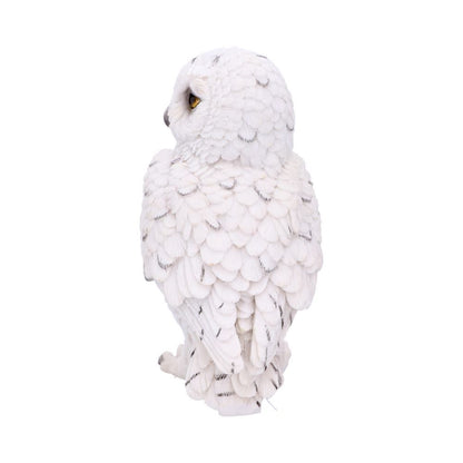 Harry Potter - Hedwig