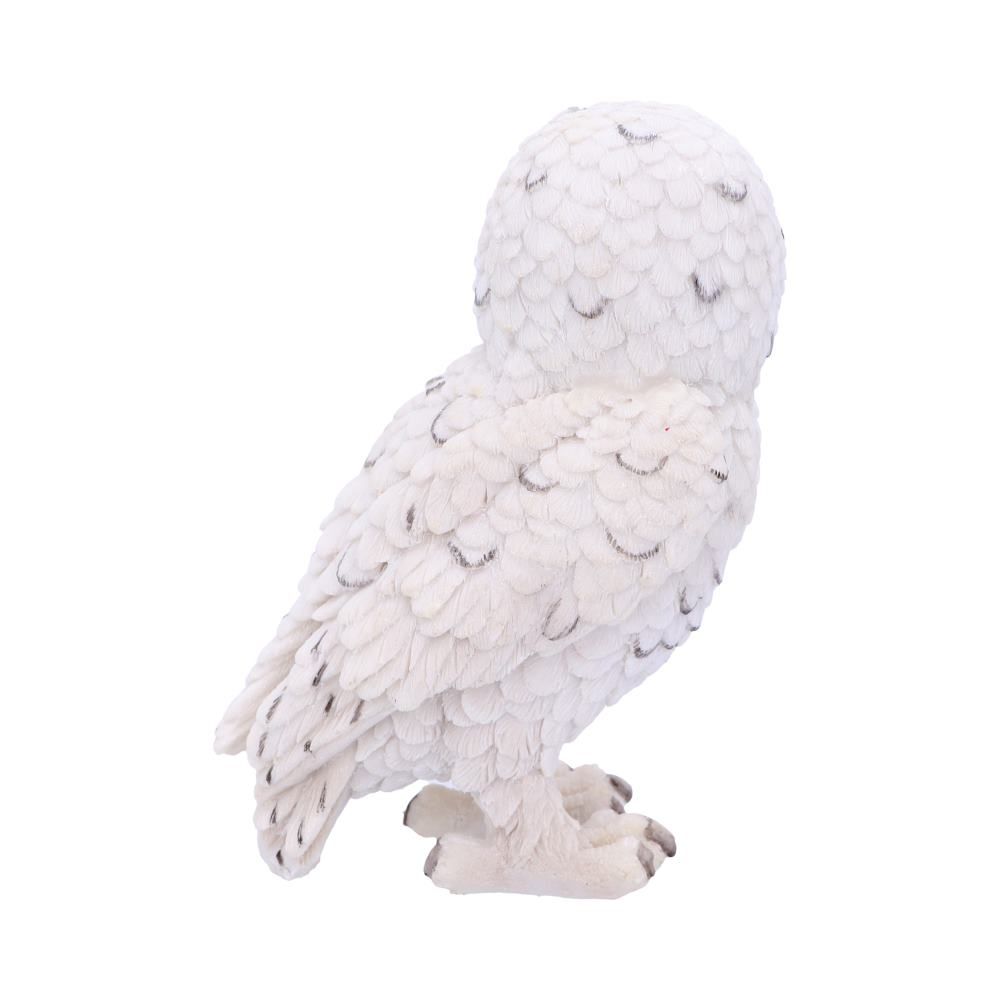 Harry Potter - Hedwig