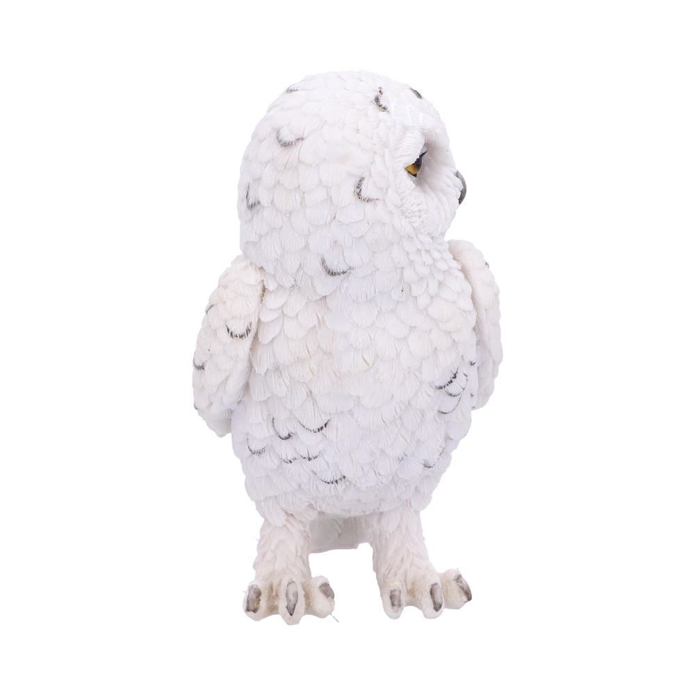 Harry Potter - Hedwig