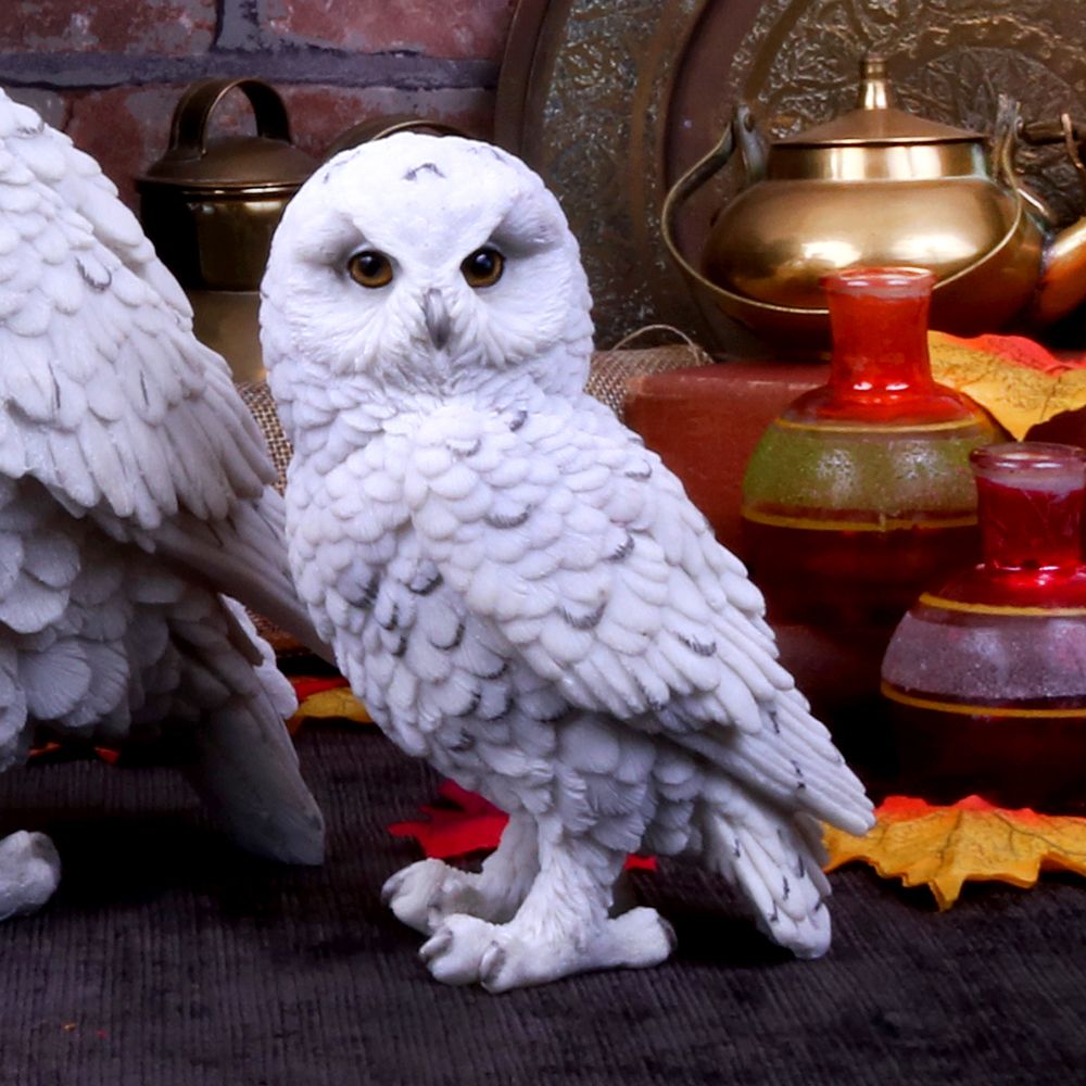 Harry Potter - Hedwig