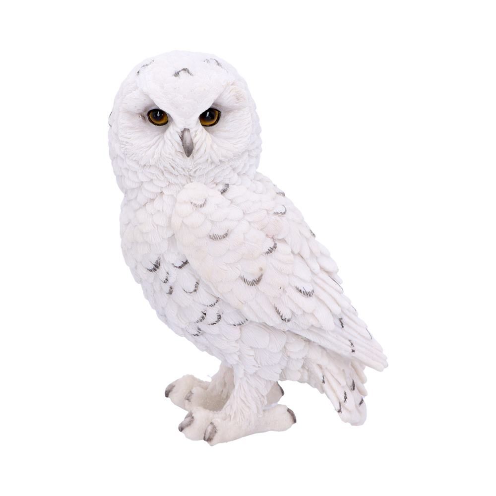 Harry Potter - Hedwig