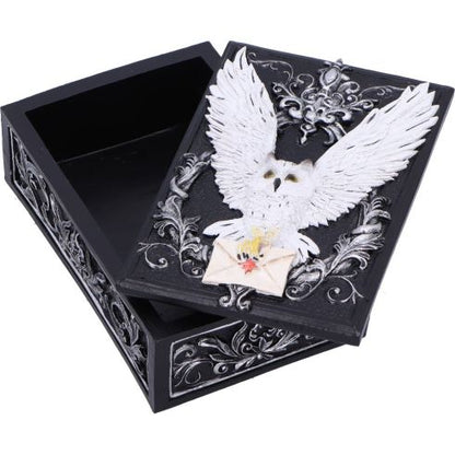 Harry Potter - Schmuckschatulle - Hedwig mit Brief