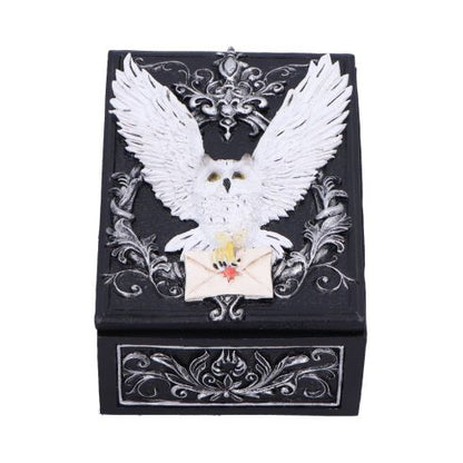 Harry Potter - Schmuckschatulle - Hedwig mit Brief