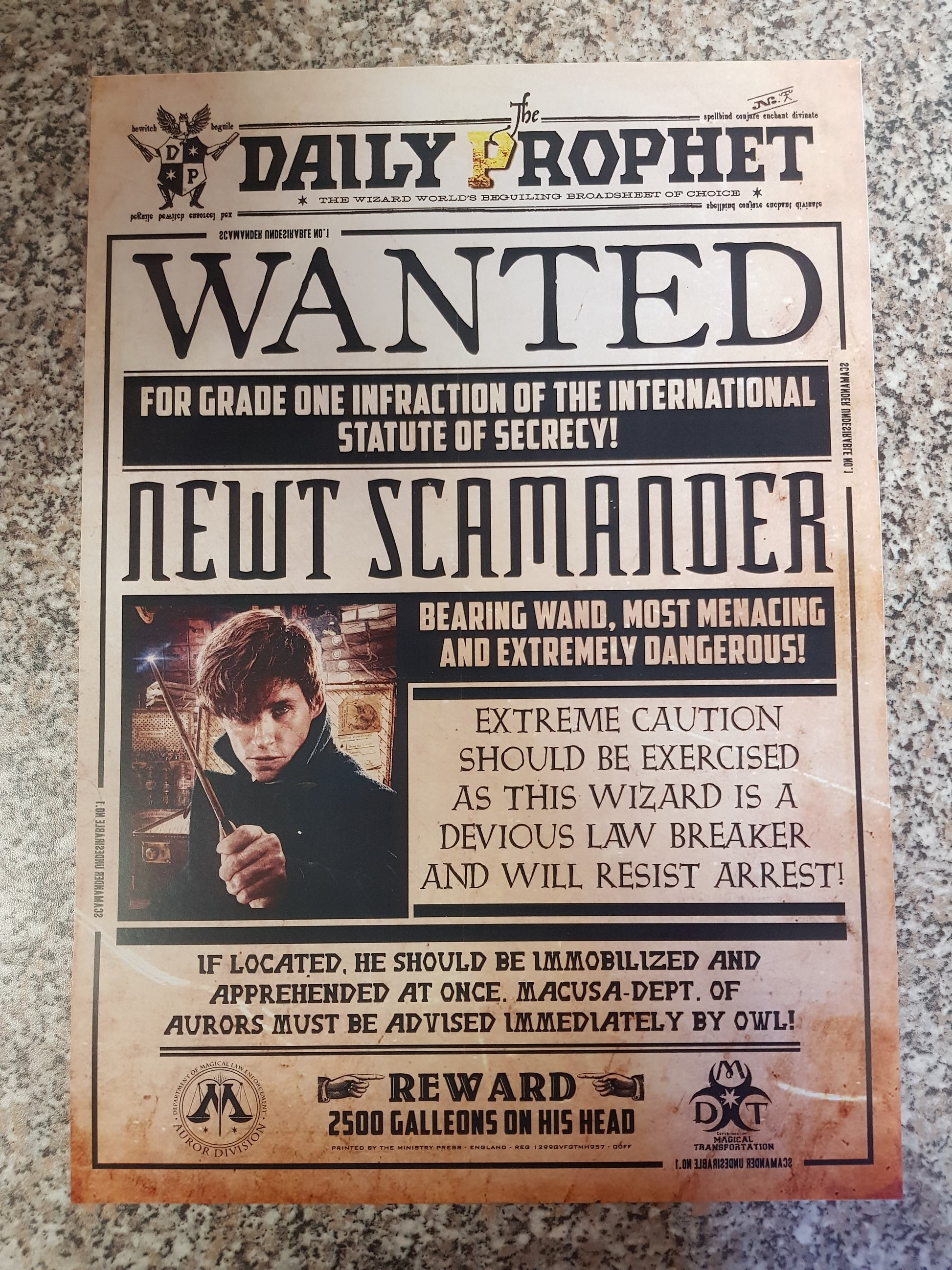 Phantastische Tierwesen - Poster - Wanted Newt Scamander (42 cm x 30 cm)