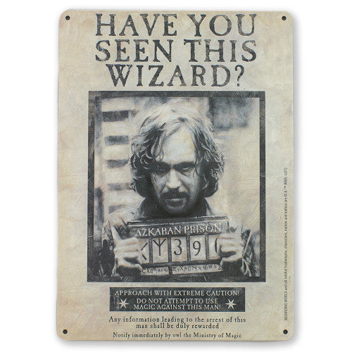 Harry Potter - Blechschild A5 - Have You Seen This Wizard