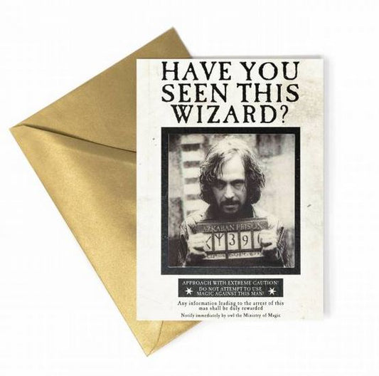 Harry Potter - Grußkarte - Have You Seen This Wizard?