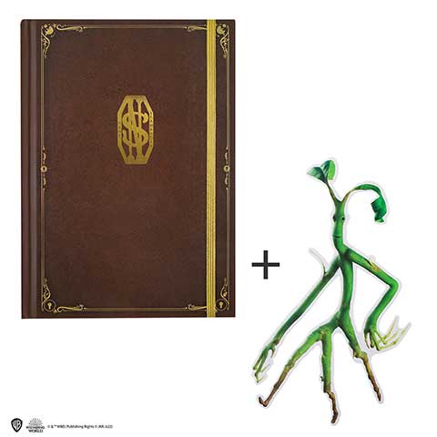 Phantastische Tierwesen - Notizbuch - Newts Tagebuch inkl. Lesezeichen