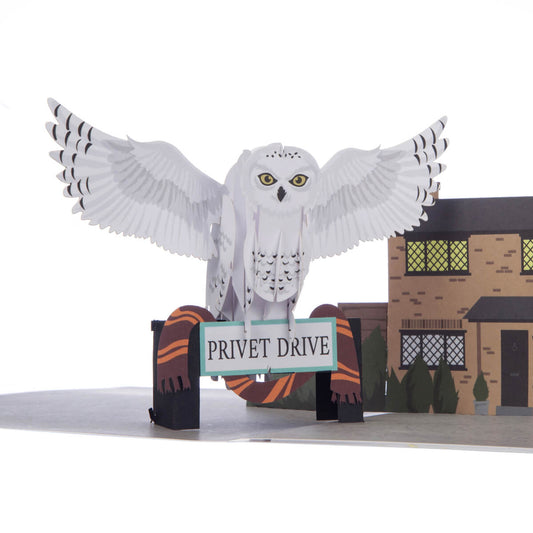 Harry Potter - 3D Pop-Up Karte - Hedwig