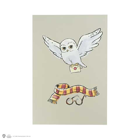 Harry Potter - Notizbuch - Hedwig