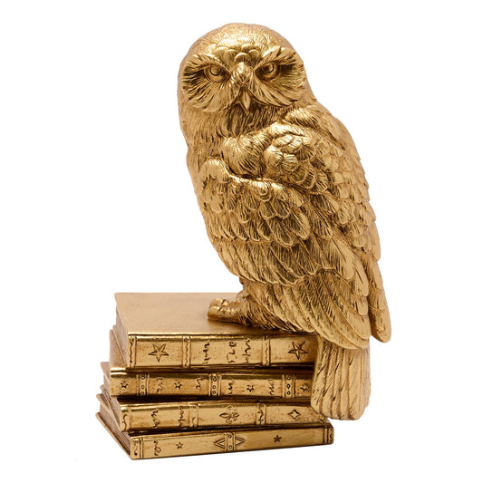 Harry Potter - Hedwig auf Büchern