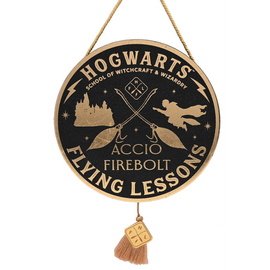 Harry Potter - Banner - Hogwarts Flying Lesson