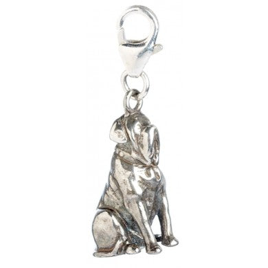 Harry Potter - Clip-On Anhänger - Fang (Sterling Silber)