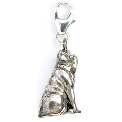 Harry Potter - Clip-On Anhänger - Fang (Sterling Silber)
