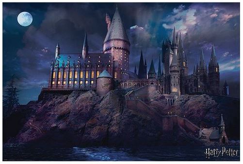 Harry Potter - Poster - Hogwarts (61 x 91 cm)