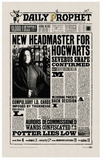 Harry Potter - Geschirrtuch - New Headmaster
